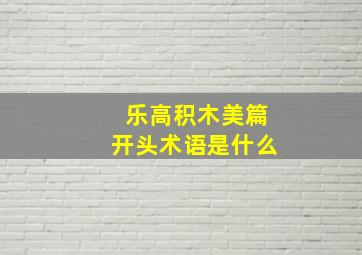 乐高积木美篇开头术语是什么