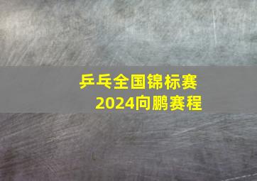 乒乓全国锦标赛2024向鹏赛程