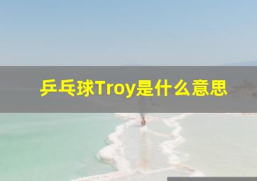 乒乓球Troy是什么意思