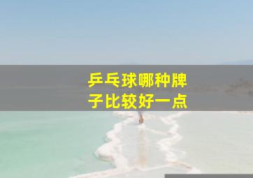 乒乓球哪种牌子比较好一点