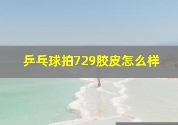 乒乓球拍729胶皮怎么样