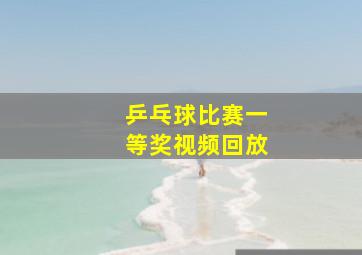 乒乓球比赛一等奖视频回放