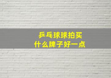 乒乓球球拍买什么牌子好一点