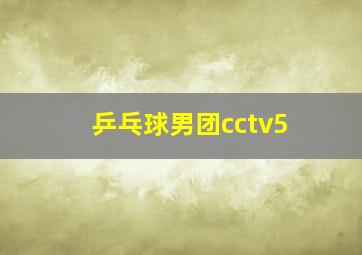 乒乓球男团cctv5