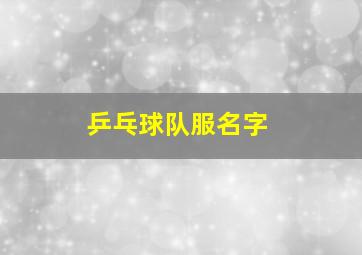 乒乓球队服名字