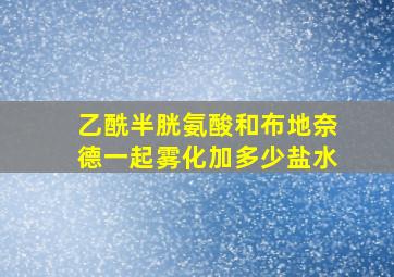 乙酰半胱氨酸和布地奈德一起雾化加多少盐水