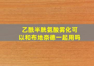 乙酰半胱氨酸雾化可以和布地奈德一起用吗