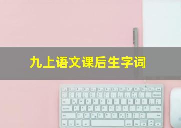 九上语文课后生字词