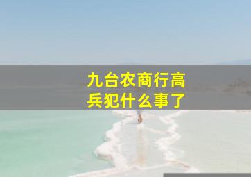 九台农商行高兵犯什么事了