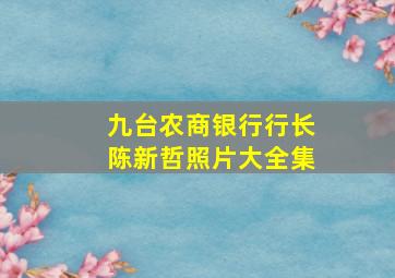 九台农商银行行长陈新哲照片大全集