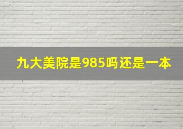 九大美院是985吗还是一本