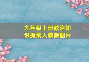 九年级上册政治知识提纲人教版图片