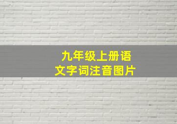 九年级上册语文字词注音图片