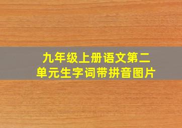 九年级上册语文第二单元生字词带拼音图片