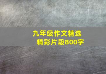 九年级作文精选精彩片段800字