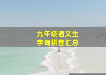 九年级语文生字词拼音汇总