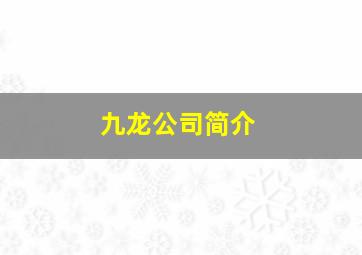 九龙公司简介