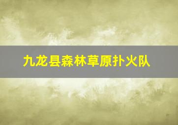 九龙县森林草原扑火队