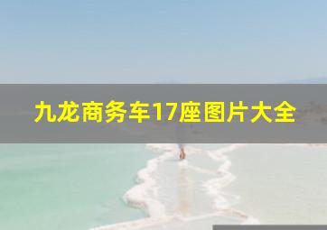 九龙商务车17座图片大全