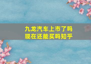 九龙汽车上市了吗现在还能买吗知乎