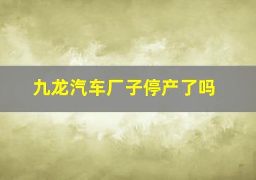 九龙汽车厂子停产了吗