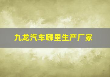 九龙汽车哪里生产厂家