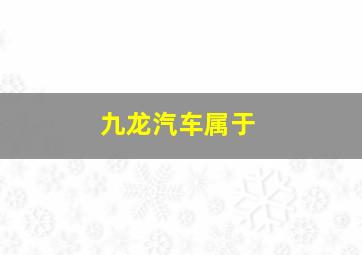 九龙汽车属于