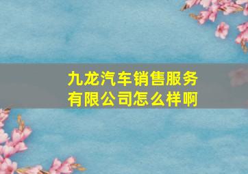 九龙汽车销售服务有限公司怎么样啊