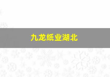 九龙纸业湖北