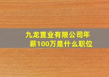 九龙置业有限公司年薪100万是什么职位