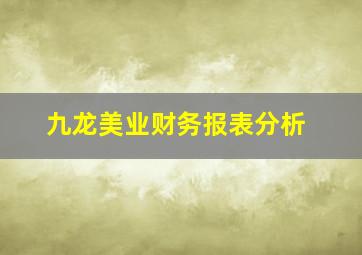 九龙美业财务报表分析