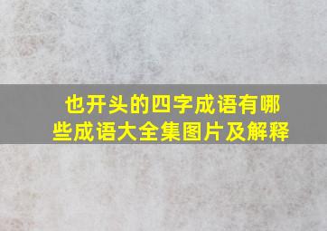 也开头的四字成语有哪些成语大全集图片及解释