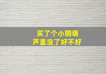 买了个小铜葫芦盖没了好不好