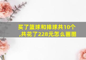 买了篮球和排球共10个,共花了228元怎么画图