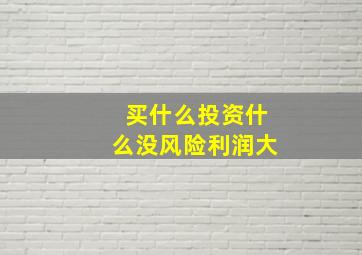 买什么投资什么没风险利润大