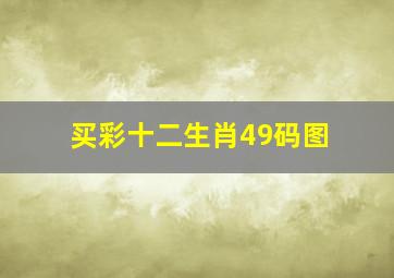 买彩十二生肖49码图