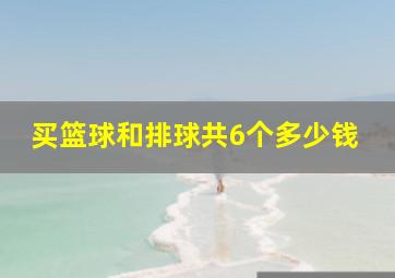 买篮球和排球共6个多少钱