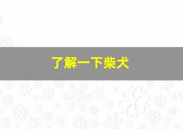 了解一下柴犬