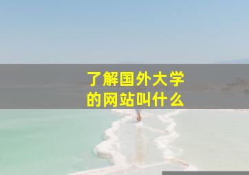 了解国外大学的网站叫什么