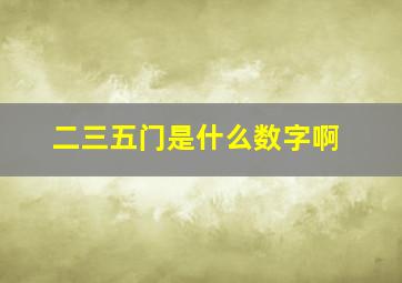 二三五门是什么数字啊