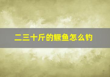 二三十斤的鳜鱼怎么钓