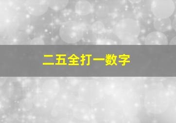 二五全打一数字