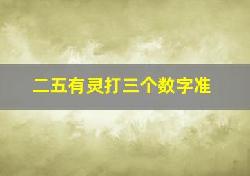 二五有灵打三个数字准