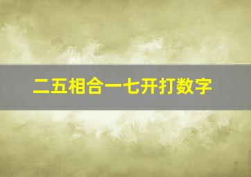 二五相合一七开打数字