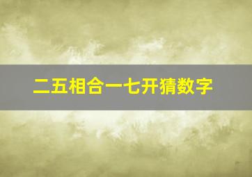 二五相合一七开猜数字