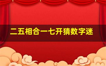 二五相合一七开猜数字迷