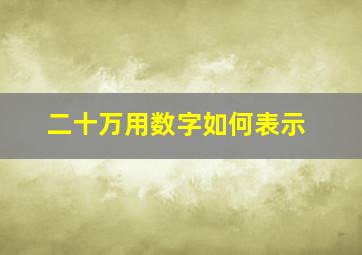 二十万用数字如何表示