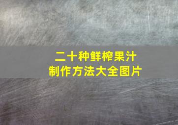 二十种鲜榨果汁制作方法大全图片