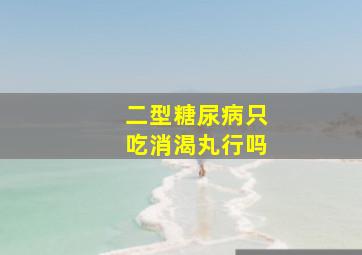 二型糖尿病只吃消渴丸行吗