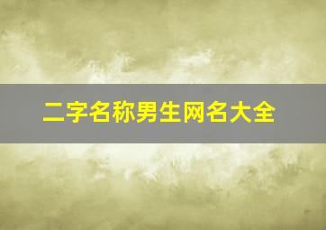 二字名称男生网名大全